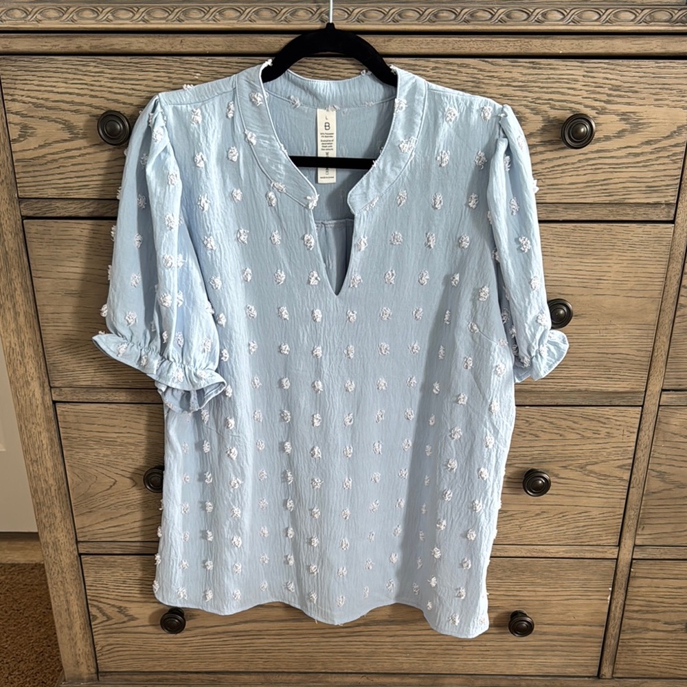 Light Blue Blouse with White Floral Embroidery